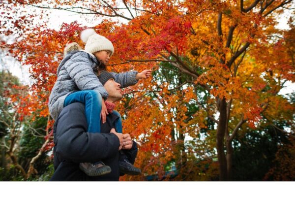 Exploring Nature: Best National Parks for Families