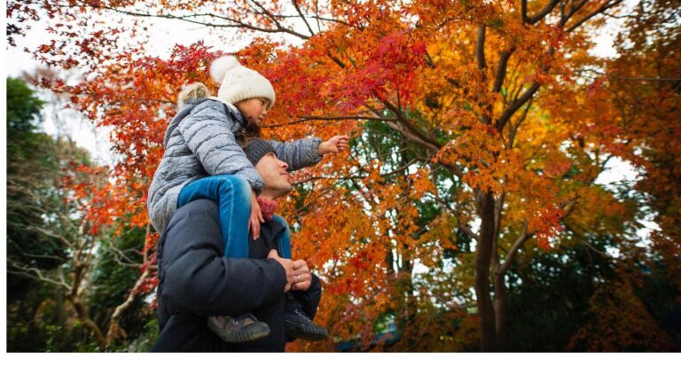 Exploring Nature: Best National Parks for Families