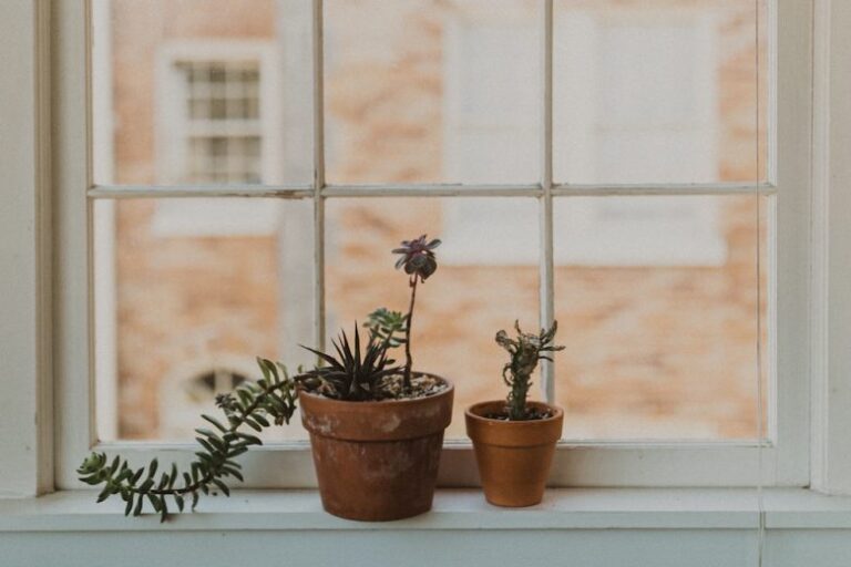 How to Make Your Home a Peaceful Sanctuary