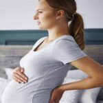 What to Expect in Each Trimester