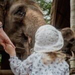 Educational Travel Ideas for School-Age Kids